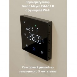 Grand Meyer TSM Wi-Fi (черный)